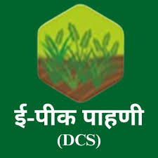 fantastic cms