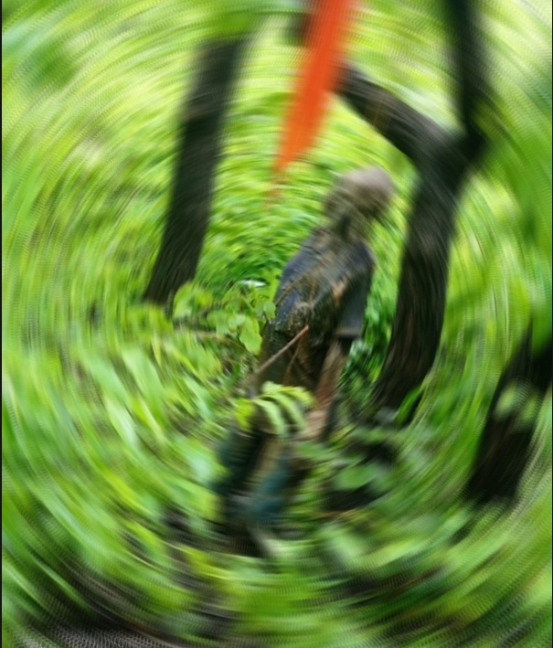 image not available