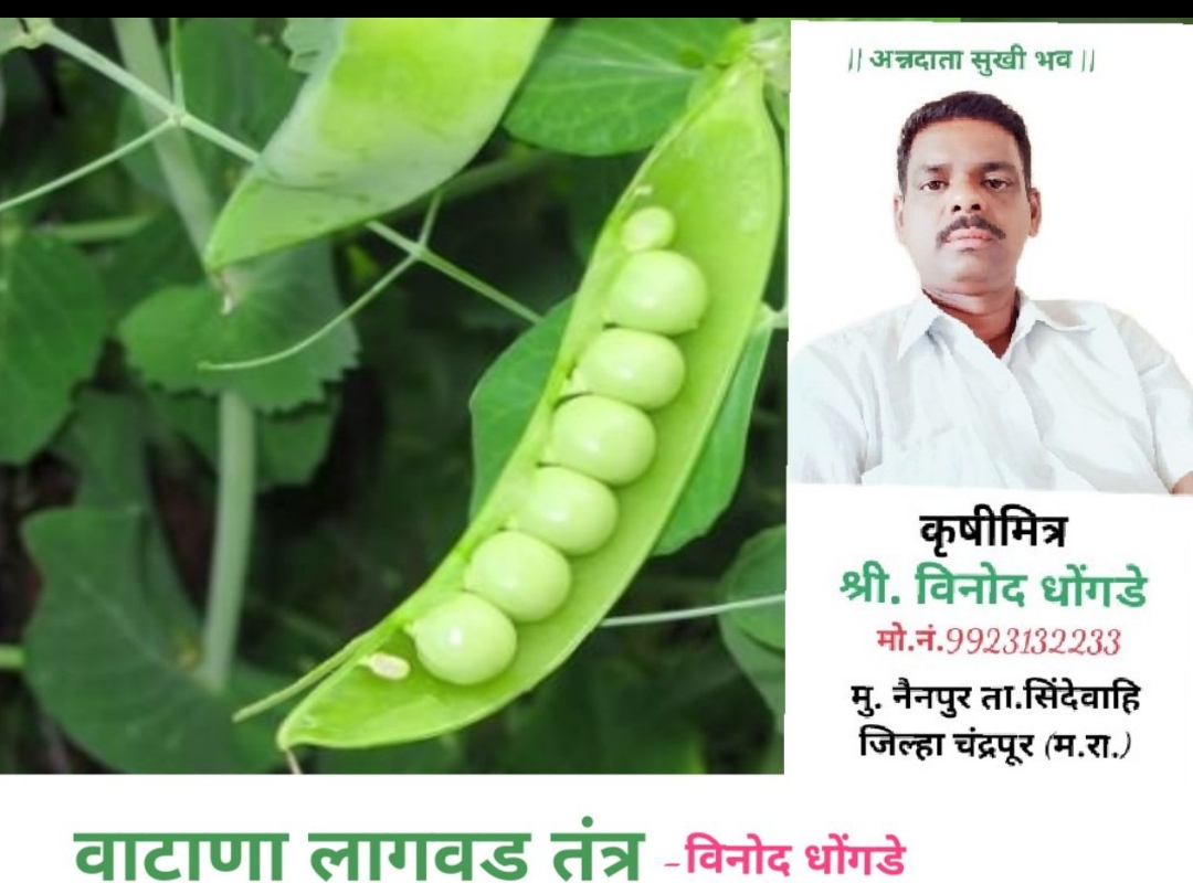 fantastic cms